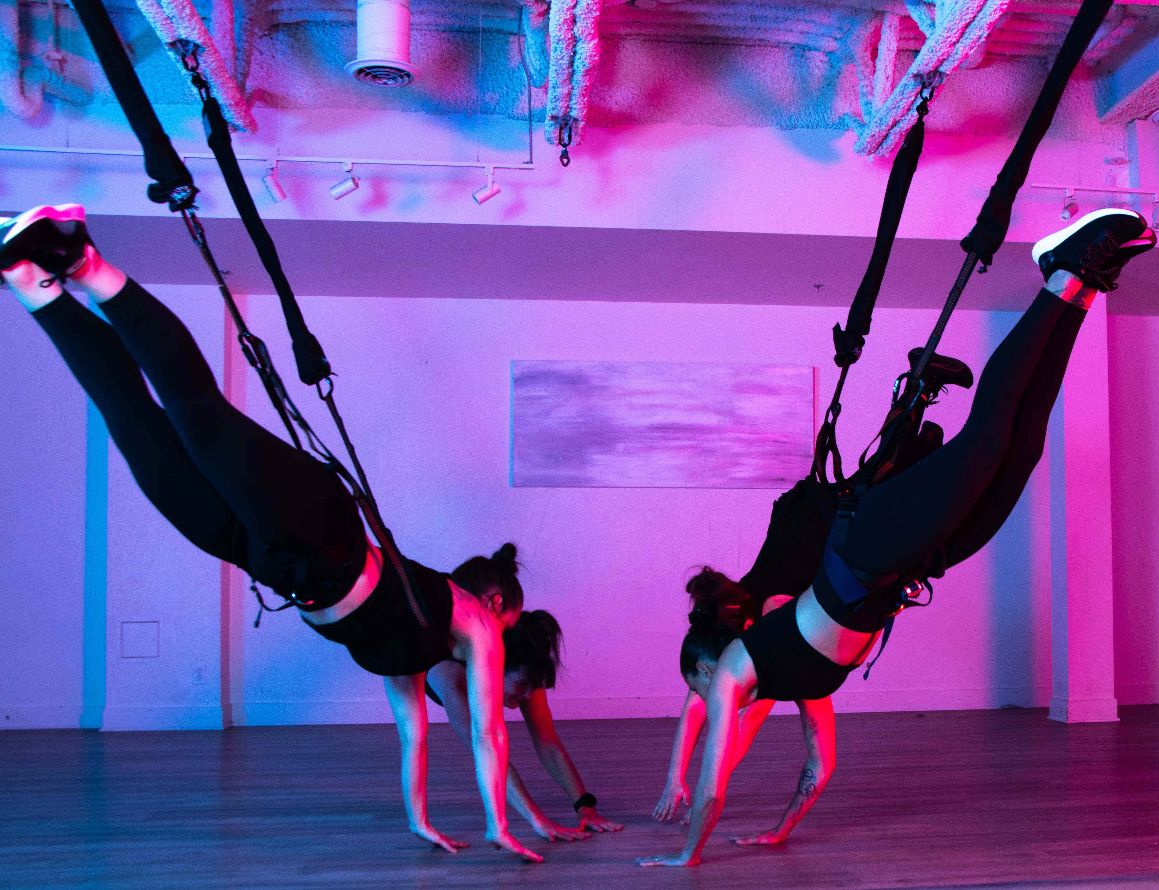 Bungee 7